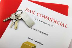 avocat droit commercial Pau avocat droit commercial Pau